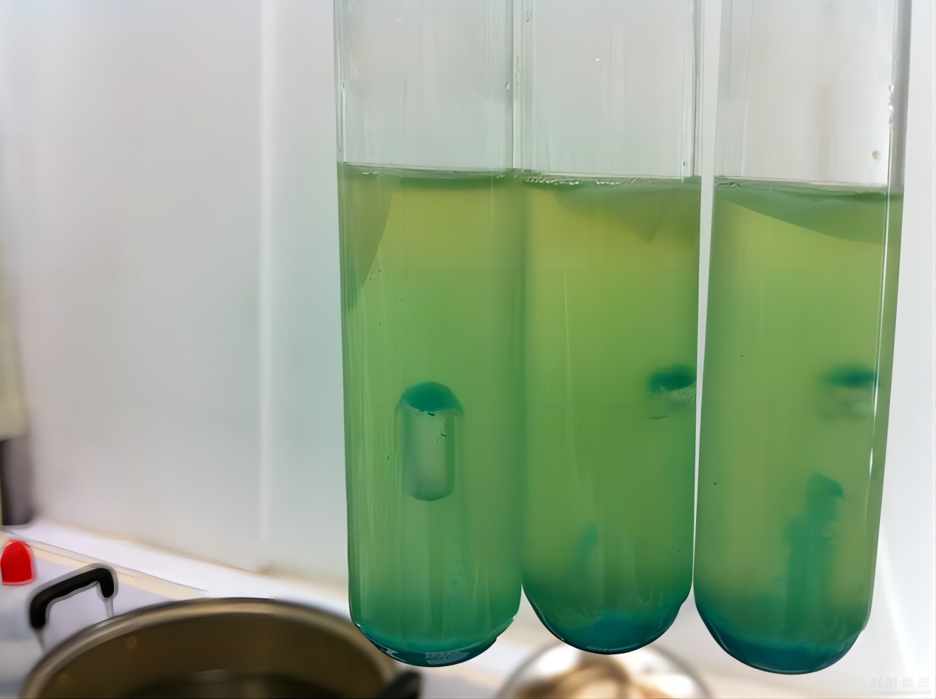 一种分光光度法快速检测大肠菌群的方法及应用